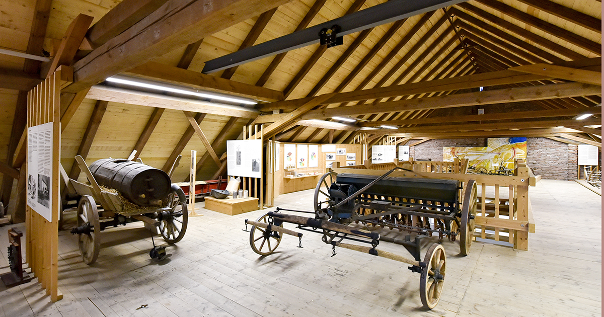 WWS Museumstipps – die Städtischen Museen Zittau und das Stadtmuseum Ingolstadt – Bild 2